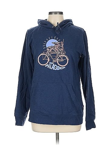 Patagonia Pullover Hoodie (view 1)