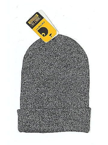 Carhartt Beanie (view 1)