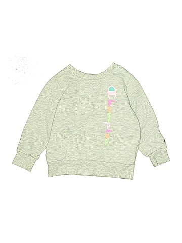 Champion Sweatshirt (view 1)