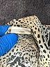 MNG by Mango Gold Sleeveless Blouse Size 4 - photo 8
