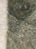 Cato Ivory Jeans Size 4 - photo 5