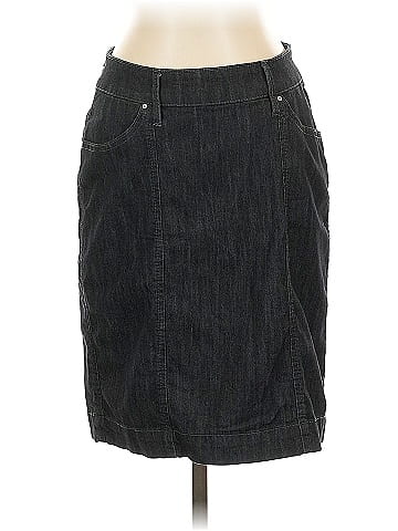 Jag Denim Skirt (view 1)
