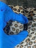 Assorted Brands Tan 3/4 Sleeve Henley Size XL - photo 7