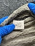 Barneys New York Black Bodysuit Size 3 - photo 4