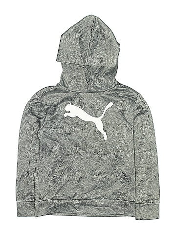 Puma Pullover Hoodie (view 1)