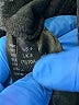 Anthropologie Black Active Pants Size 4 - photo 5