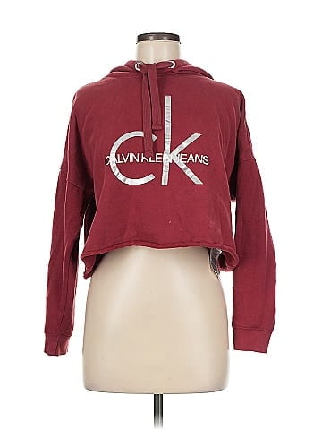 CALVIN KLEIN JEANS Pullover Hoodie (view 1)