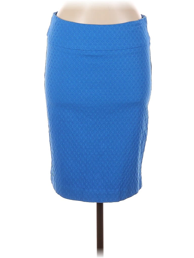 Pre-owned Margaret M Casual Skirt In Blue