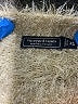 Vineyard Vines Green Ivory Cardigan Size XS - photo 6