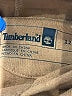 Timberland Tan Brown Sweatshirt 9-12 MO / 12 MO - photo 3