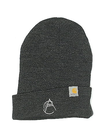 Carhartt Beanie (view 1)