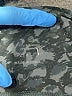 Unbranded Animal Print Black Casual Pants Size S - photo 7