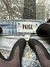 Paige Hearts Blue Jeans Size 26 waist - photo 7