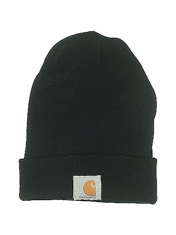 Carhartt Beanie (view 1)