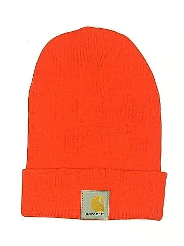 Carhartt Beanie (view 1)