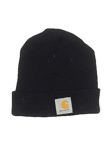 Carhartt Beanie (view 1)
