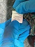 J Valdi 100% Polyester Teal Casual Dress Size S - photo 8
