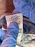 DL1961 Stars Blue Jeans Size 29 waist - photo 8