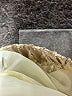 Brownstone Studio New York Paisley Ivory Formal Skirt Size 12 (petite) - photo 5
