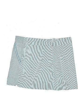 Lilly Pulitzer Skort (view 2)
