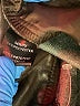 Hey Babe Metallic Brown Shorts Size L - photo 4