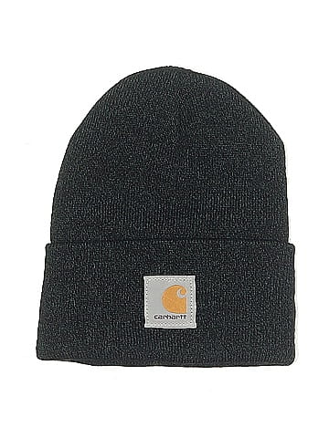 Carhartt Beanie (view 1)