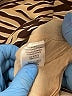 johnnybecca 100% Polyester Animal Print Brown Long Sleeve Blouse Size M - photo 7