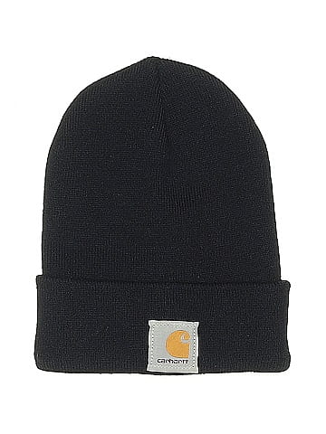 Carhartt Beanie (view 1)