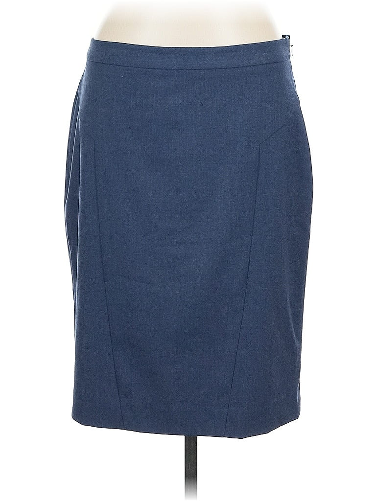 Pre-owned The Limited Formal Skirt In Blue