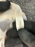 Tiny Ivory Tan Cardigan Size XS - photo 7