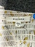 Pleione 100% Polyester Ivory Sleeveless Blouse Size M - photo 6