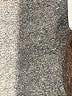 Puella Brown Casual Dress Size S - photo 9