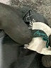 Aqua Green Solid Black Romper Size S - photo 3