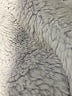 Assorted Brands Solid Silver Purple Snow Jacket Size 4 - photo 3