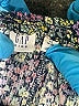 Gap Kids Print Green Blue Skirt Size 4 - photo 3