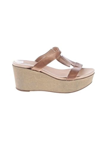 Antelope Wedges (view 1)