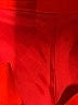 Unbranded Red Casual Pants Size 10 - photo 6
