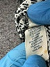 Rebecca Minkoff Silver Jacket Size M - photo 9