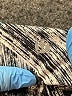 Lululemon Athletica Print Silver Gray Active Pants Size 2 - photo 3