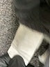 Dickies Gray Casual Pants Size 13 - photo 8
