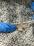 Joan Vass 100% Nylon Silver Cardigan Size M - photo 7
