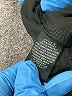 Sanctuary Black Casual Pants Size L - photo 7