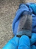 South Parade Blue Sweatshirt Size XS - photo 7
