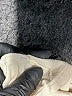 Cat & Jack Ivory Long Sleeve T-Shirt Size 4T - photo 4