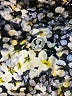 Lululemon Athletica Print Blue Active Pants Size 2 - photo 7