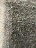 Emily... Gray Blazer Size 26 waist - photo 7