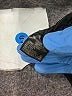 Tahari by ASL Gray Black Blazer Size 10 - photo 7