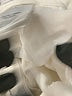 DL1961 White Jeans Size 12 - photo 4