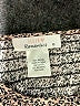 Urban Romantics 100% Rayon Brown Short Sleeve Blouse Size M - photo 6