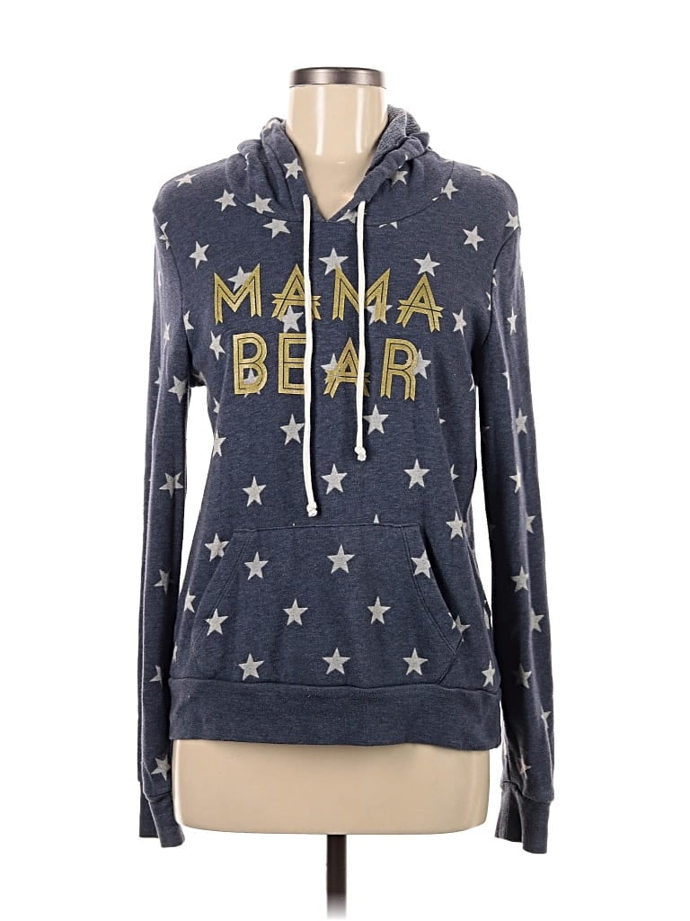 ALTERNATIVE EARTH Pre-owned Pullover Hoodie In Blue